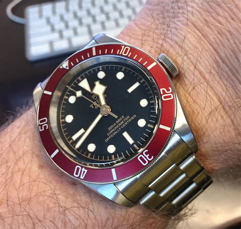 tudor reds